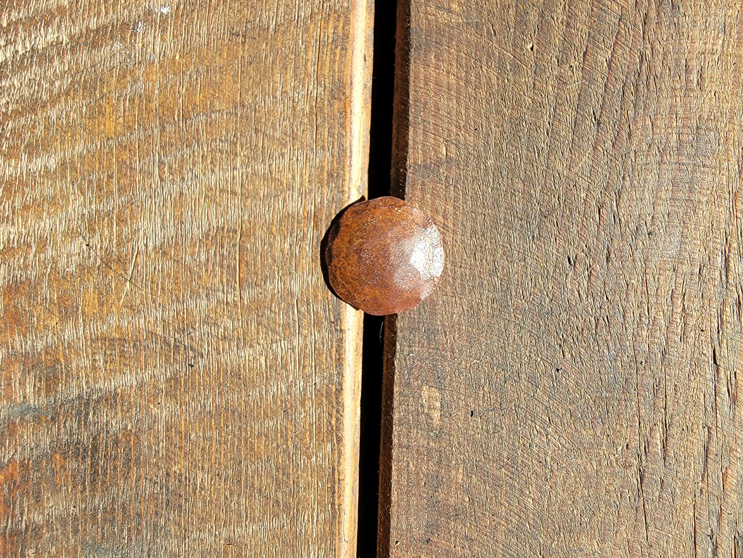 1 1/2" Round Hammered Edge Clavo / Decorative Nail Head