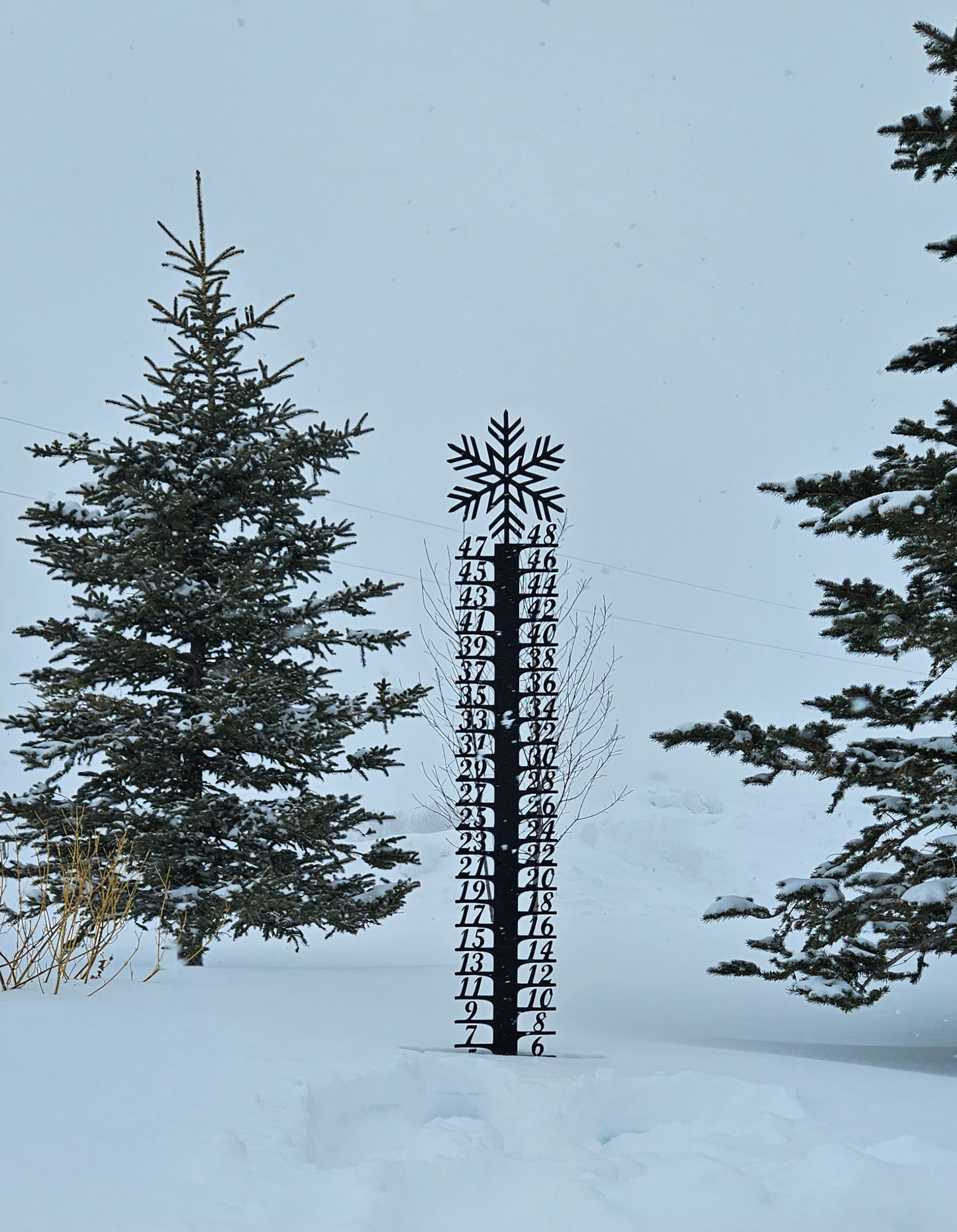 Snow Flake Snow Gauge