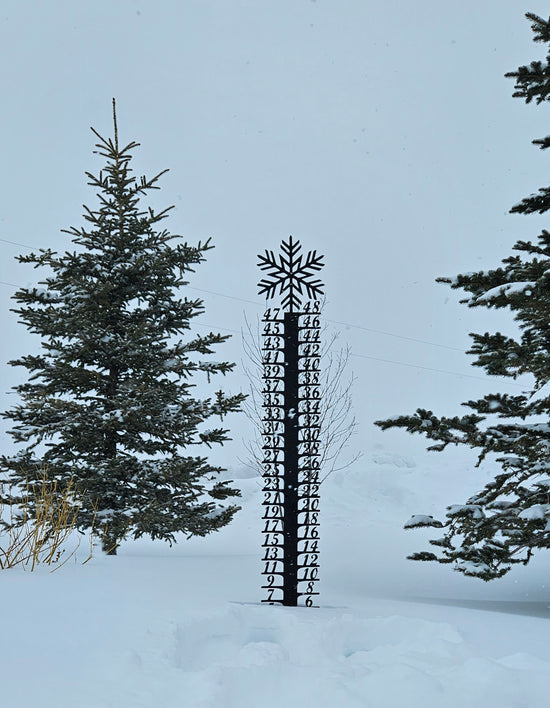 Snow Flake Snow Gauge