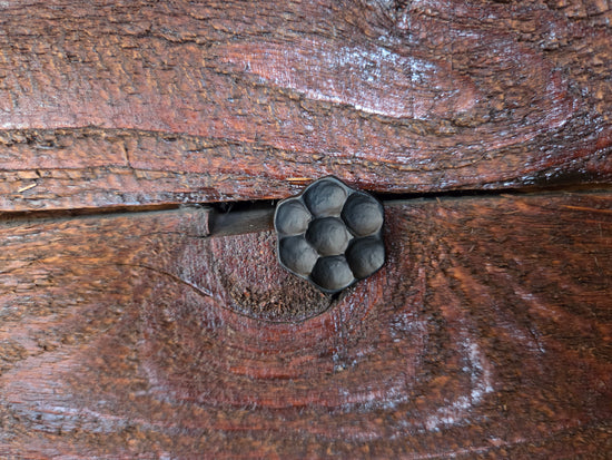 3/4" Dia. Flower Head Bolt