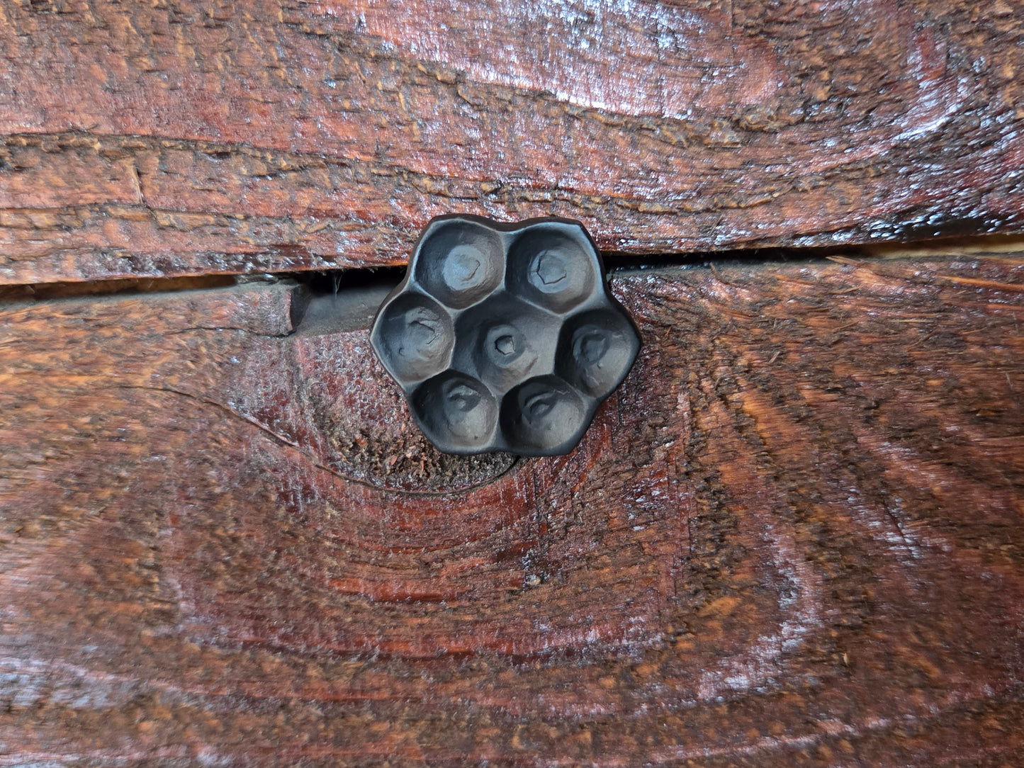 3/4" Dia. Flower Head Bolt