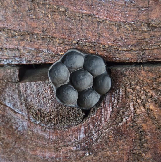3/4" Dia. Flower Head Bolt