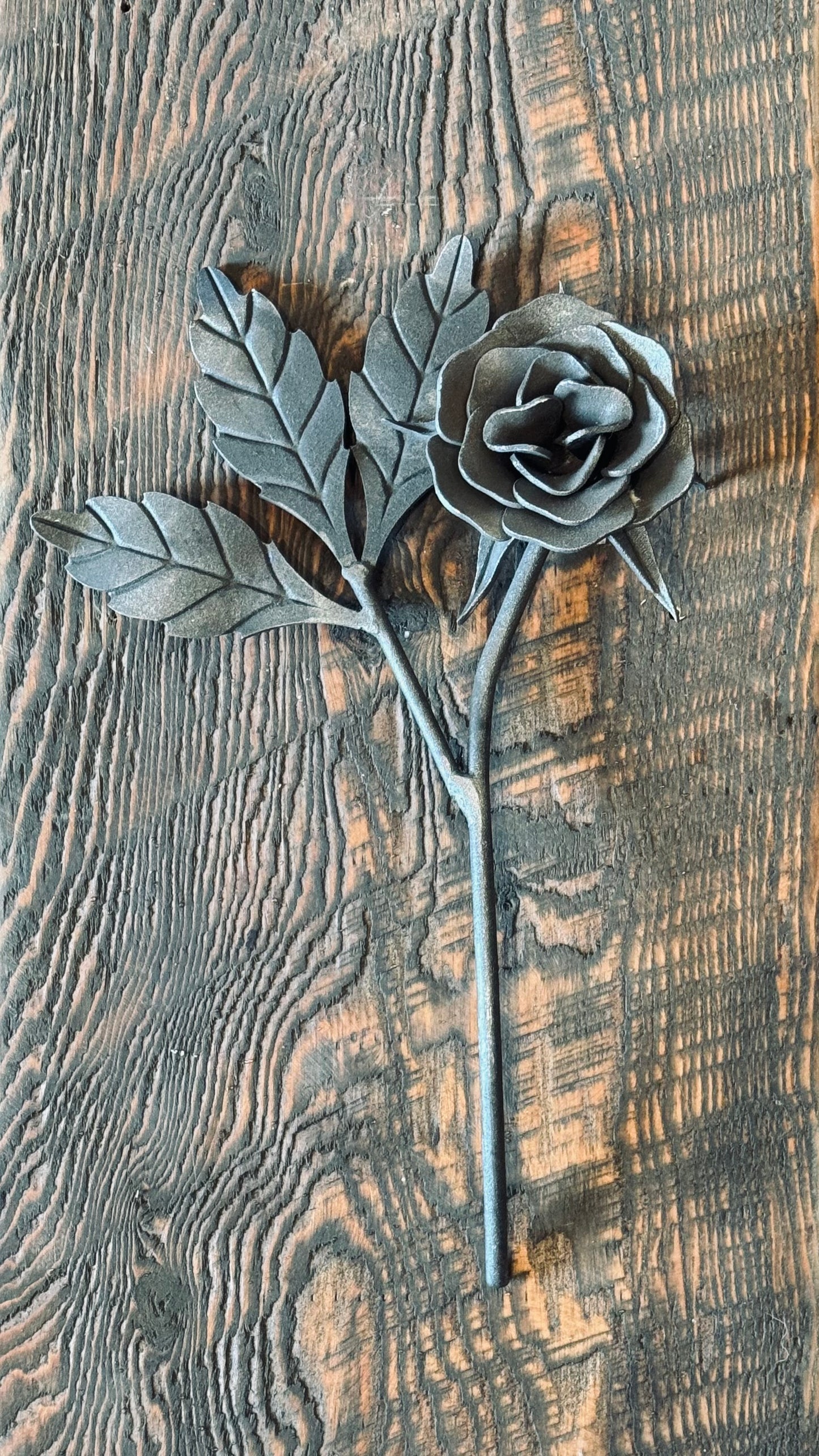 Rosa clásica de hierro de tallo largo