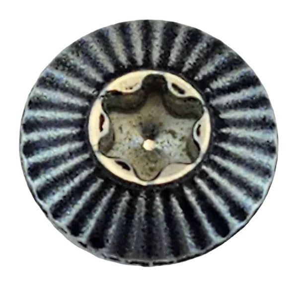 No.10 Western Wood Screws