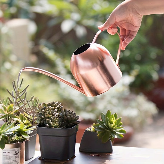 Simple Metal Watering Can