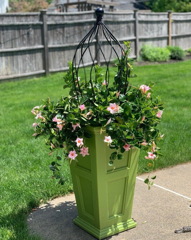 Beatrice Ball Topiary Trellis Trellises Garden