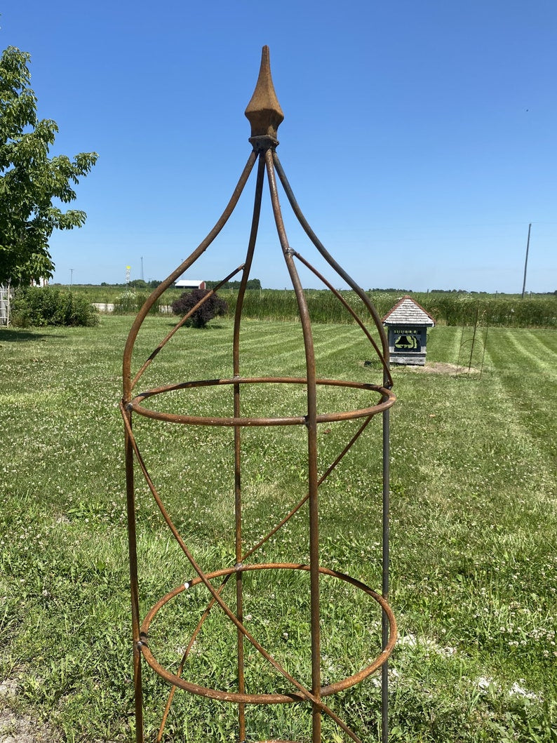 Wrought Iron Rose Topiary Plant Cages & Supports Garden