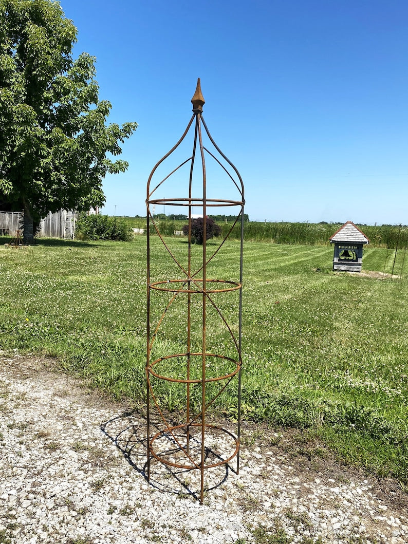 Wrought Iron Rose Topiary Plant Cages & Supports Garden