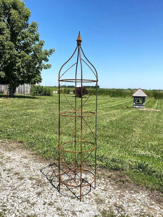 Wrought Iron Rose Topiary Plant Cages & Supports Garden