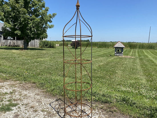 Wrought Iron Rose Topiary Plant Cages & Supports Garden