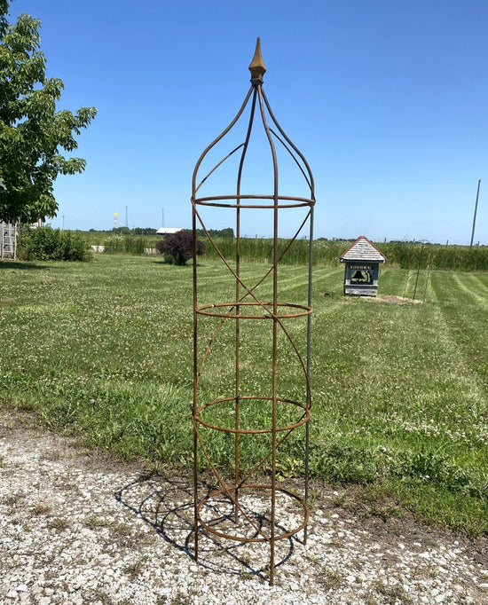 Wrought Iron Rose Topiary Plant Cages & Supports Garden