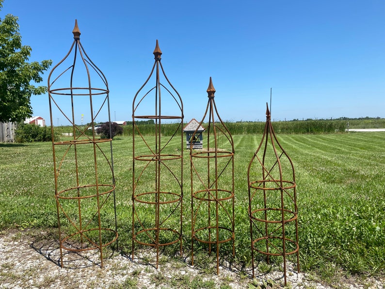 Wrought Iron Rose Topiary Plant Cages & Supports Garden