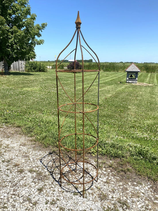 Wrought Iron Rose Topiary Plant Cages & Supports Garden