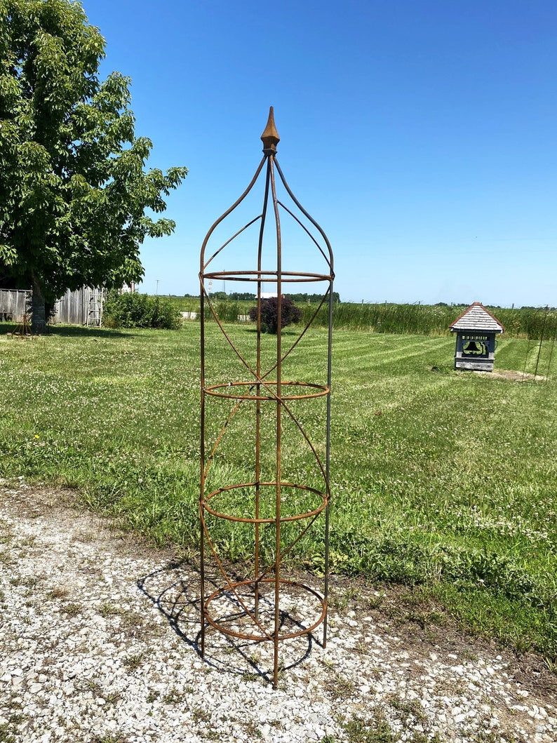 Wrought Iron Rose Topiary Plant Cages & Supports Garden