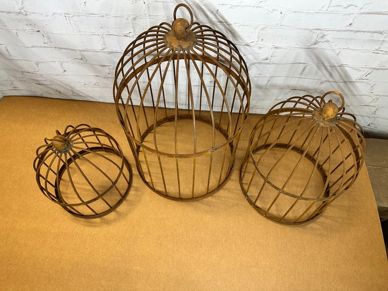 Wrought Iron Bird Cage Bird Cages & Stands Decor