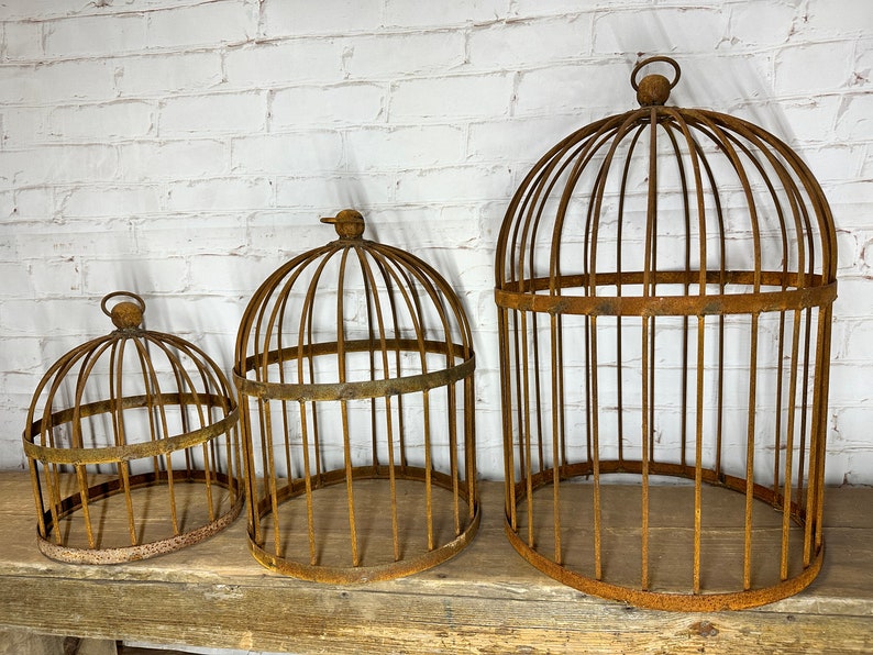 Wrought Iron Bird Cage Bird Cages & Stands Decor