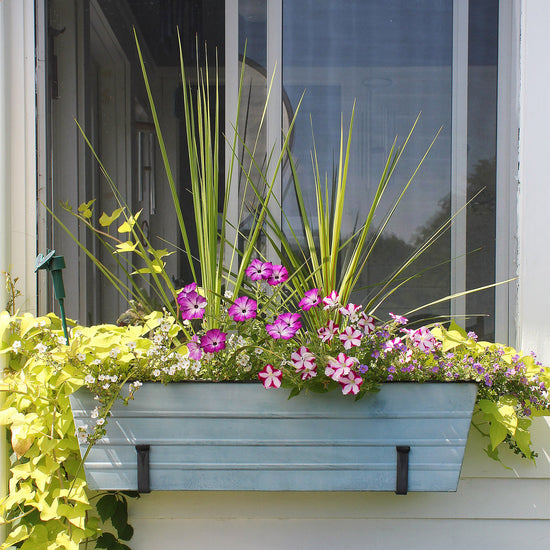 10" Brackets for Window and Flower Boxes, Wrought Iron