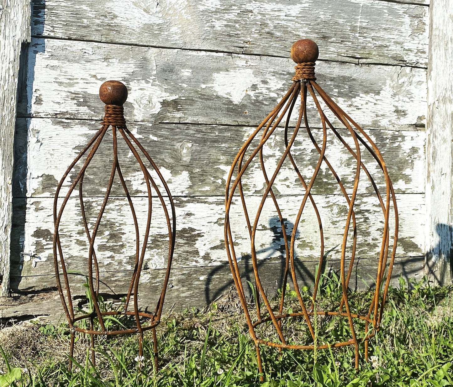 Beatrice Ball Topiary Trellis Trellises Garden