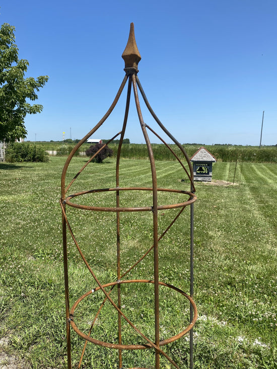Wrought Iron Rose Topiary Plant Cages & Supports Garden