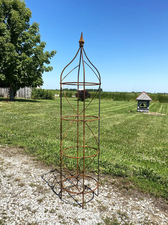 Wrought Iron Rose Topiary Plant Cages & Supports Garden
