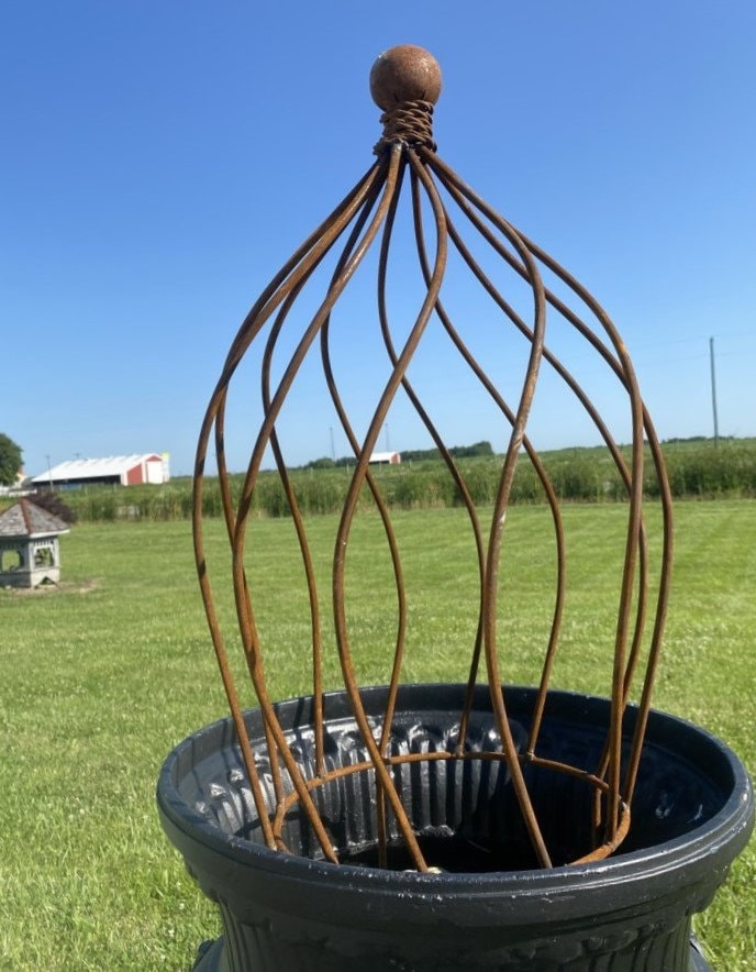 Beatrice Ball Topiary Trellis Trellises Garden