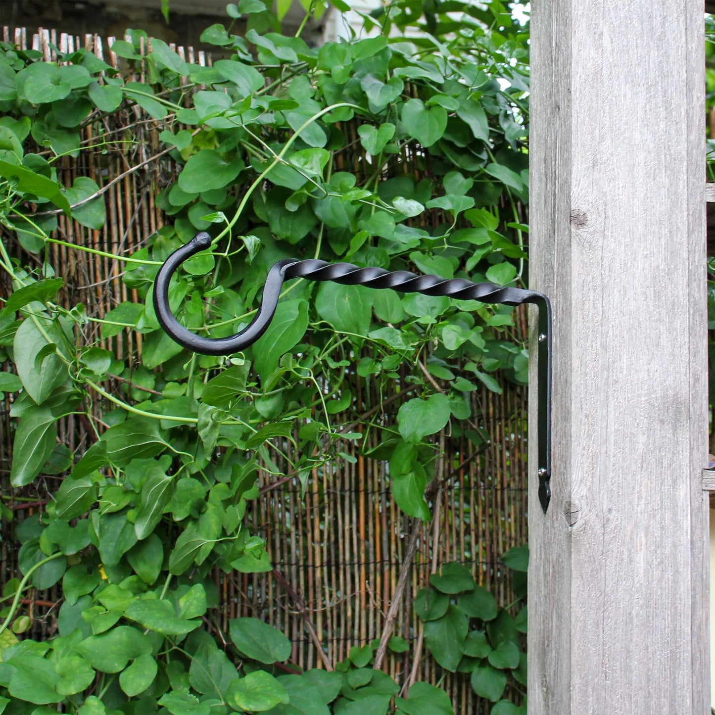 Jumbo Twisted Wall Hook