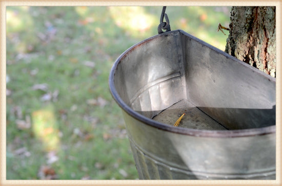 17"t Old Bucket Birdhouse Feeder or Planter - Outdoor Patio Decor - Metal Flower or Ivy Basket Container - Rustic Bird Home -