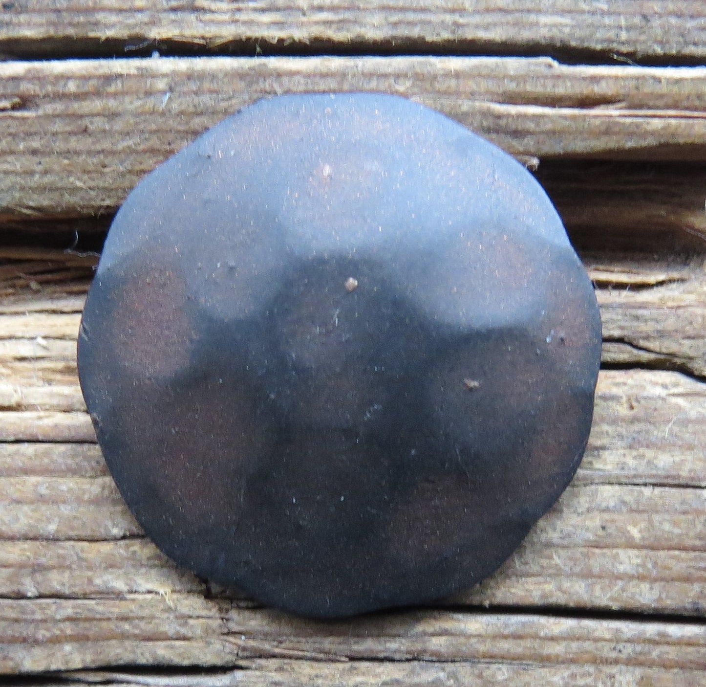 Load image into Gallery viewer, 3/4&amp;quot; Ping Hammered Dome Nail
