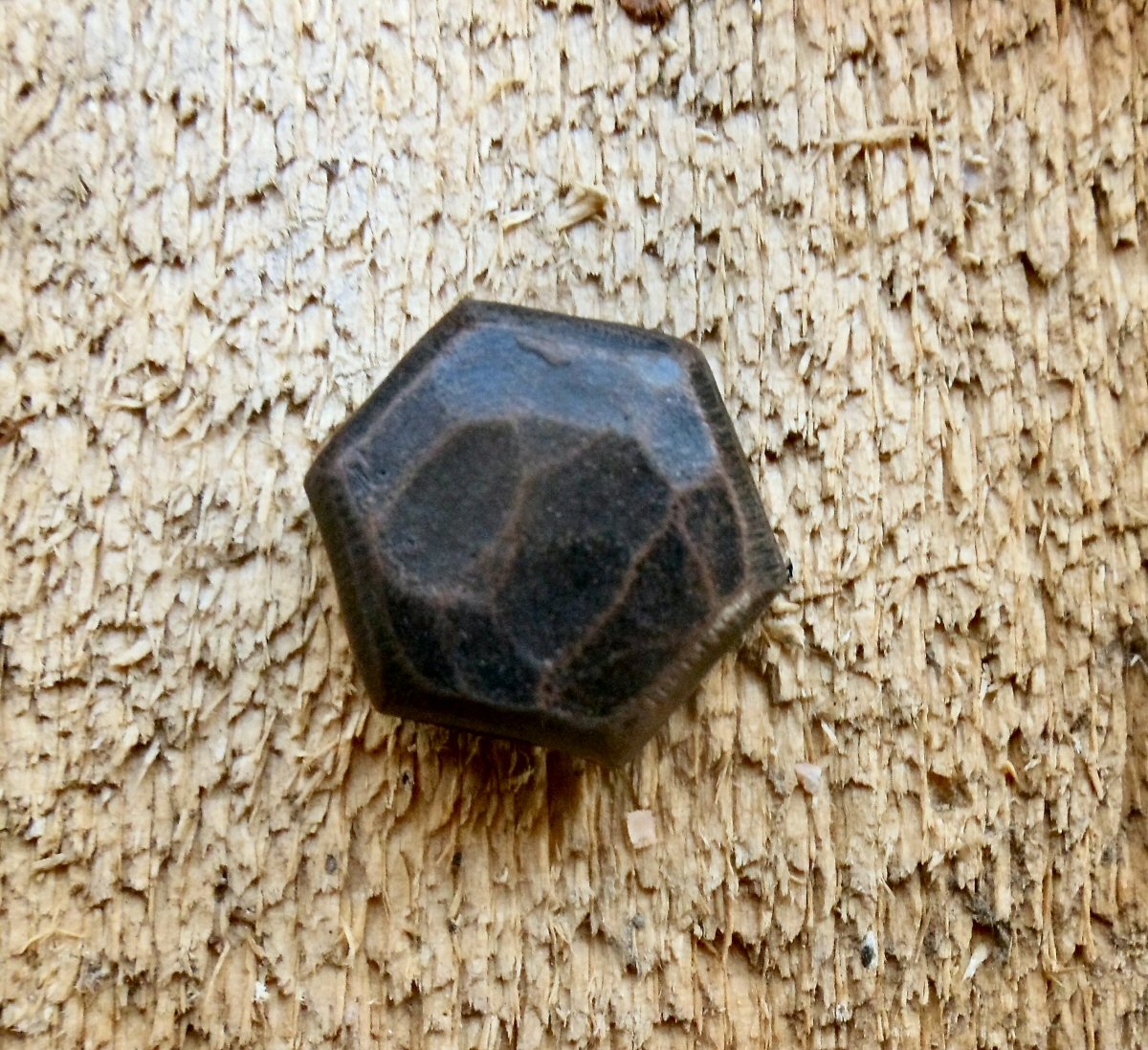 Tête hexagonale martelée de 1/4" de diamètre